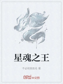 星魂之王