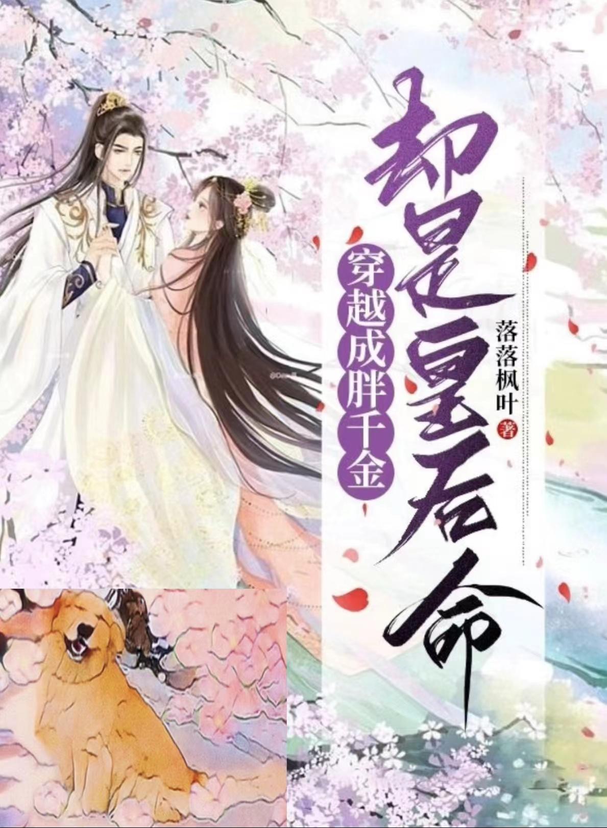 穿越成胖王妃是什么小说
