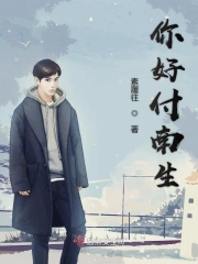 小说你好南先生