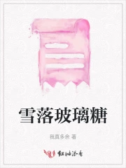 玻璃雪雪的作品