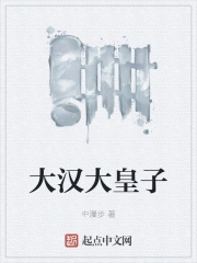 大汉天子皇上是谁