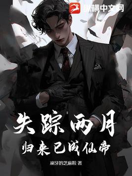 失踪失踪之后小说