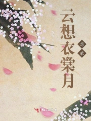 《云想衣裳花想容2》