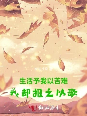 我报之以歌作文