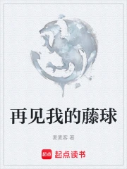 再见我的藤球
