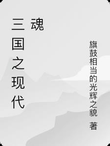 三国之武魂时代 小说