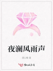 夜阑风雨盒子