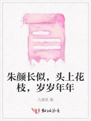 朱颜长似头上花枝岁岁年年原文