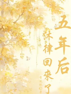 沐绾绾傅少的小说五年后再遇