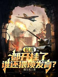 抗战谁家司令员入伍不到一年小说