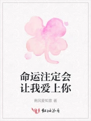 命运注定我们在一起这是什么歌啊