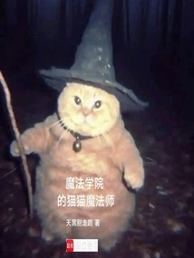 魔法学院的猫猫魔法师