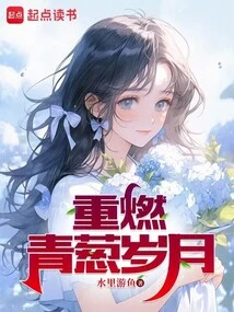 重燃青葱岁月TXT下载