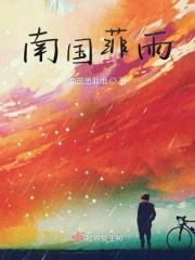 南国菲雨