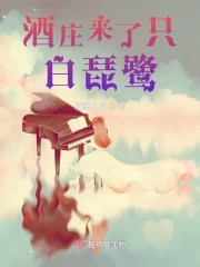 酒庄来了只白琵鹭全文阅读