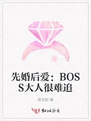 先婚后爱：BOSS大人很难追