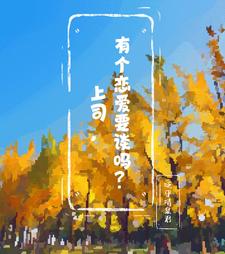 领导的恋爱