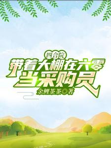 四合院:带着大棚在六零当采购员小说