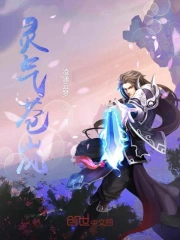 灵气苍岚