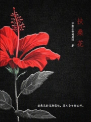 扶桑花