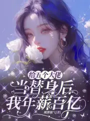 给五个大佬当替身后，我年薪百亿