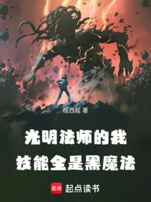 主角是光明法师的小说