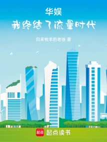 华娱流量小说