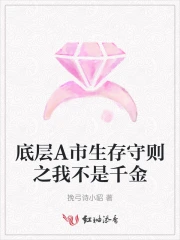 底层A市生存守则之我不是千金
