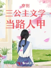 穿越成三公主的女尊小说