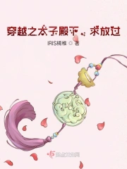 穿越之太子妃