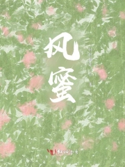 风蜜蜂的蜂罗隐