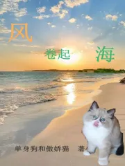 猫的梦里风卷起海