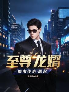 至尊龙婿免费阅读完整版