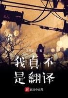 我真不是翻译起点