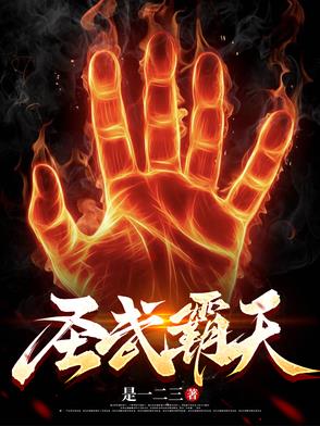 霸天武圣顶点小说