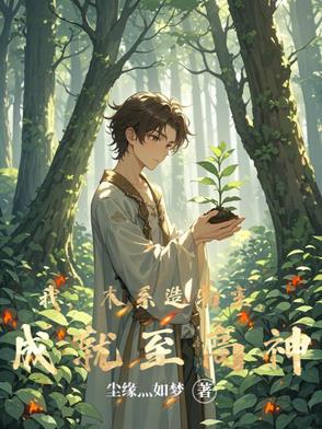 主角是木系的小说