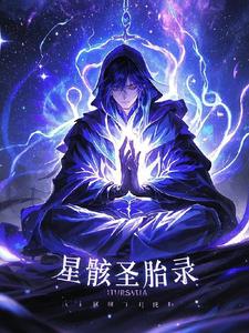 星骸骑士小说