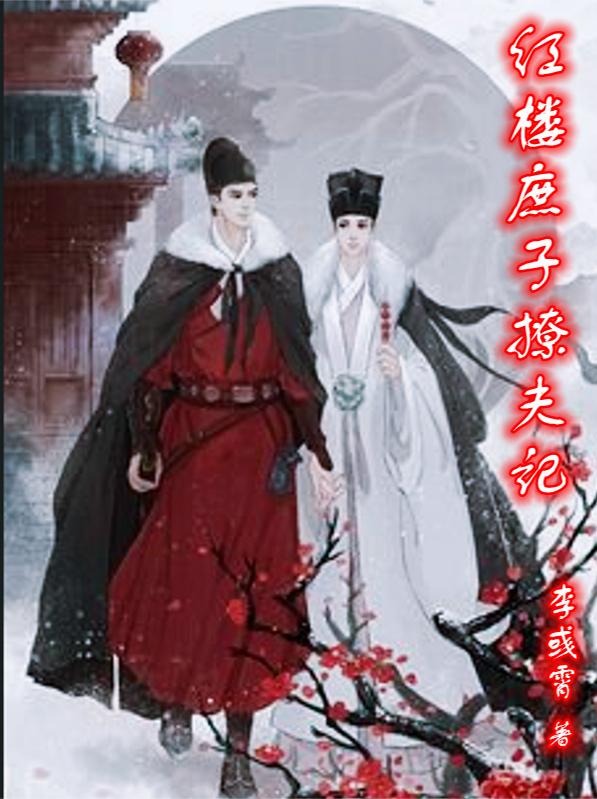 红楼庶子撩夫记小说