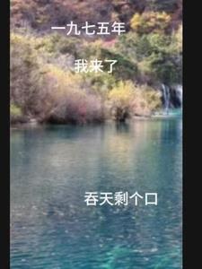 重生一九七九年