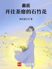 《石竹花》