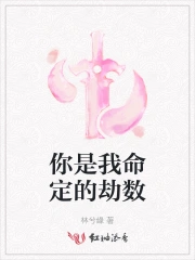 你是我命定的劫数是什么歌