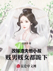 改嫁 小说