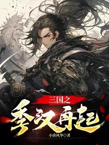 三国之汉室再兴 最新章节 无弹窗