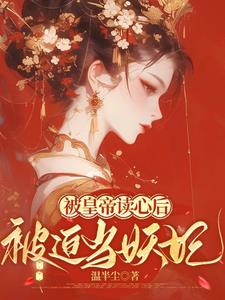 宫斗帝王小说