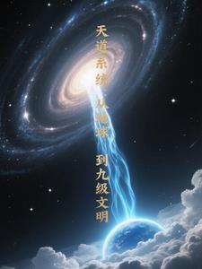 天道系统的小说