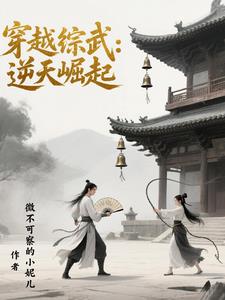 穿越综武:逆天崛起免费阅读