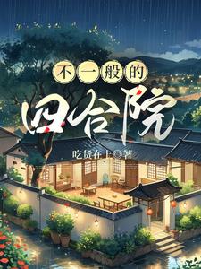 不一般的四合院小说