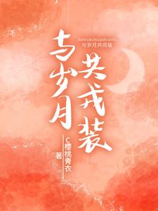 与岁月共戎装小说