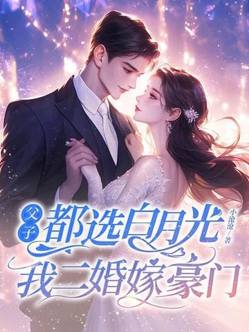 小说婚婚
