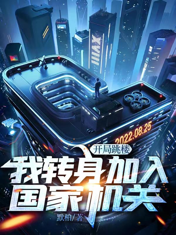 我转身投入国家机关小说